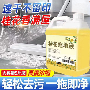 Osmanthus mopping liquid Osmanthus room fragrant floor cleaner cleaning liquid toilet hotel hotel cleaning porcelain agent
