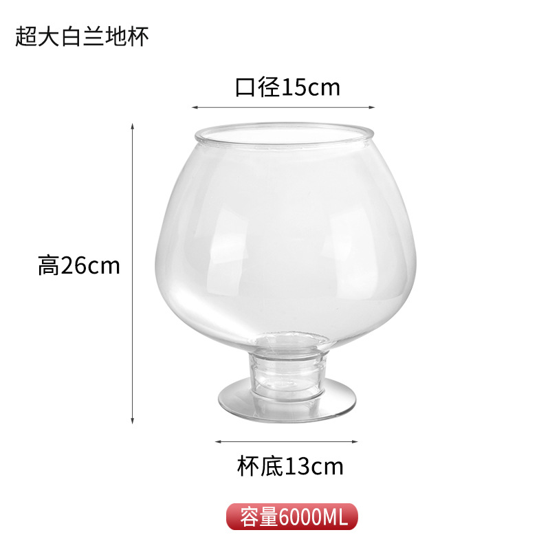 Juego de olla de braza de acrílico Bar Copa de champán de patas altas de plástico PC Copa de whisky Copa de vino tinto Copa de balas Copa salvaje