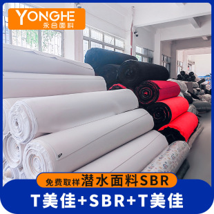 �S�Ҷ��Ɲ�ˮ���� �o��ζ�N���\������p����p�NT����ˮ��SBR