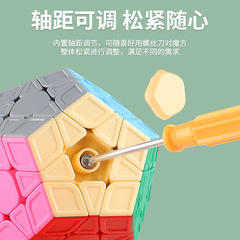 Panxin 3st レベル 5 ルービック キューブ十二面体 ソリッドカラー 初心者向け 子供用競技用 スムーズな特殊形状斜め回転 12 面