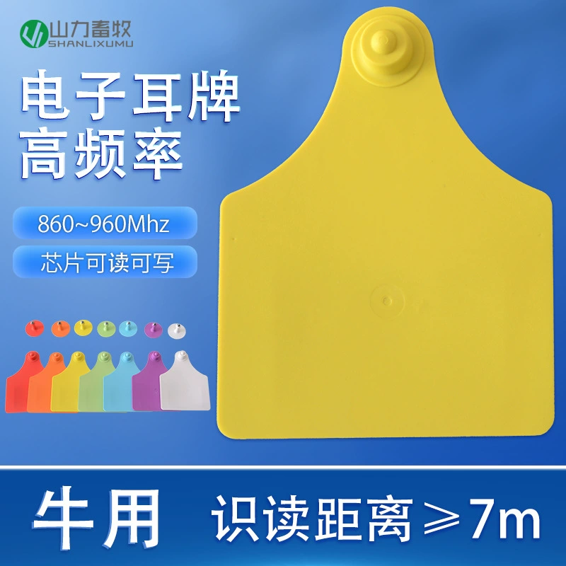 Blue Chuang UHF Электронная Ушная бирка Бык Электронная Ушная бирка Анти-тампер УВЧ Ушная этикетка No Word Niu Электронная метка