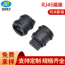 RJ45 8P8C�Բ�A�η�ˮĸ��ȫ�ܰ���β��RJ45��ˮ�W����ʽDIP�o��