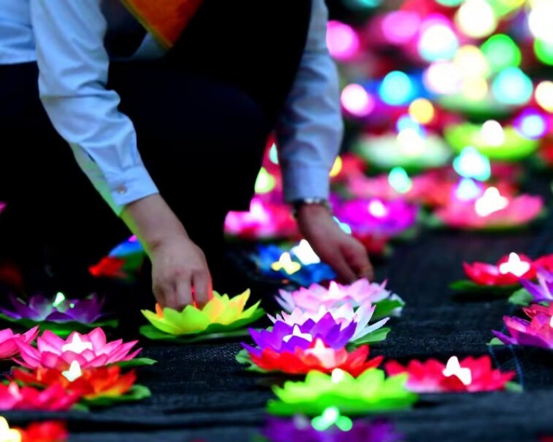 29857535A17A31F69450292A92BAD8