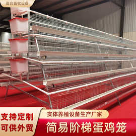 四层四门阶梯蛋鸡笼白石槽镀锌鸡笼家禽工厂阶梯养殖蛋鸡笼现货