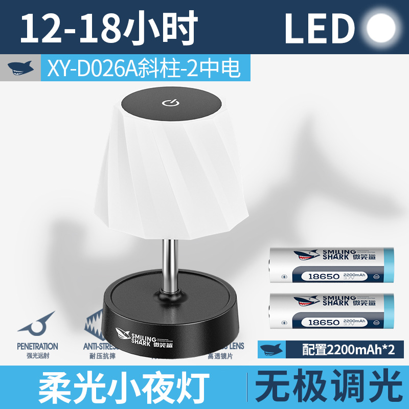 XY-D026A 경사기둥-2 Zhongdian [4400MAH]