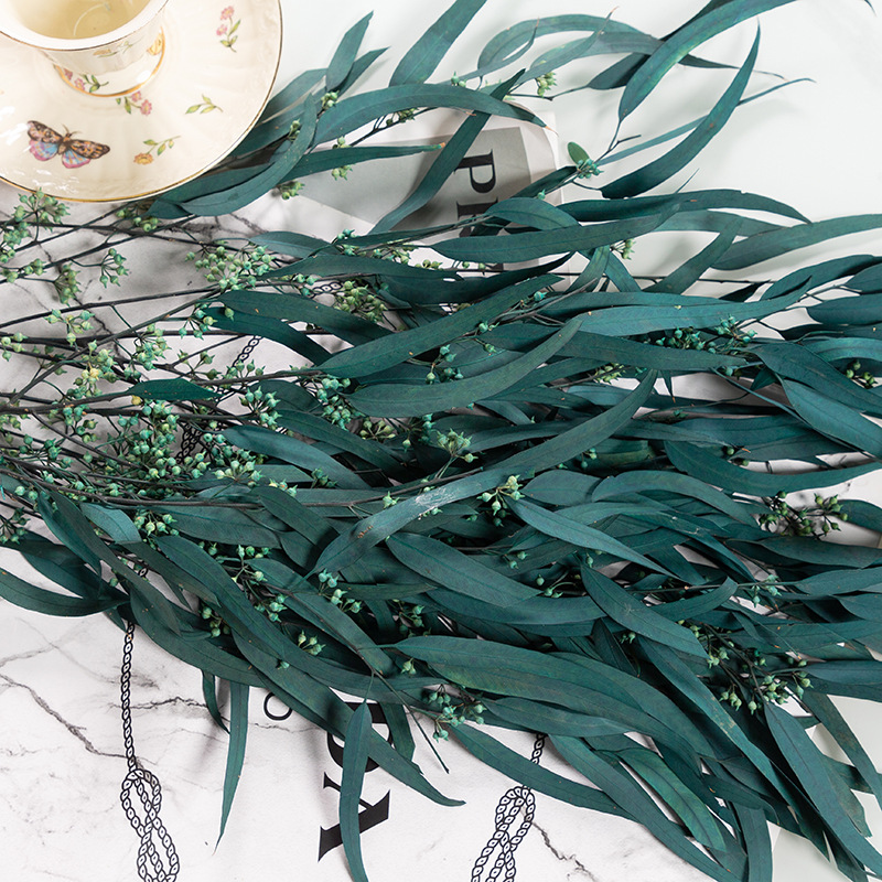 기장 과일 잎 블루 100g