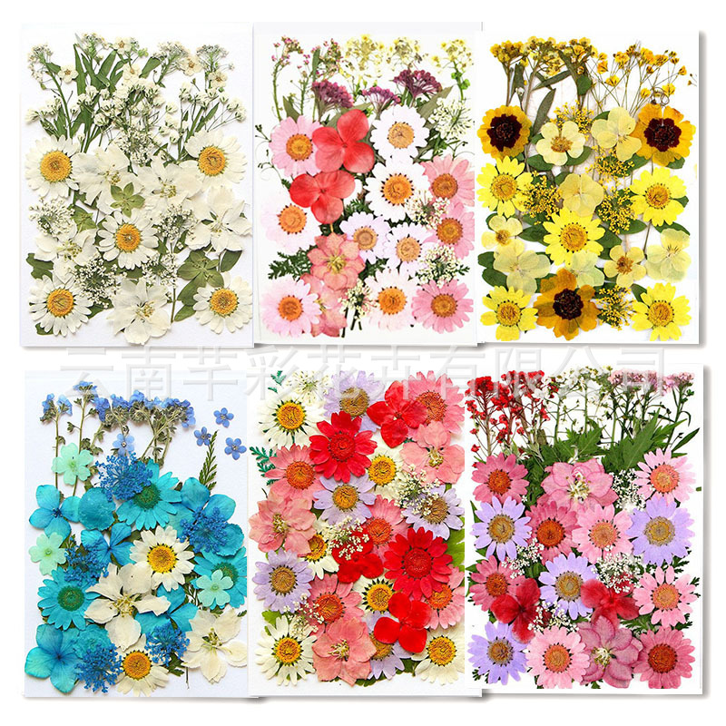 干花压花材料包diy真花押花批发 网红贴脸花亲子美甲滴胶团扇素材