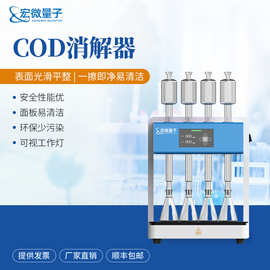 智能型COD回流消解器国标(COD)回流消解器水质化学需氧量测定仪