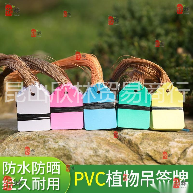 外贸PVC100张实验小挂牌绿植防水吊签标牌花卉园艺苗木吊牌兰花防