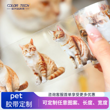 宠物营业记pet手帐胶带模切猫咪主题素材diy贴纸手帐素材循环贴画