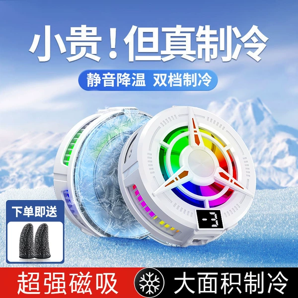 TL25 white icing model digital display (new product in 2025)