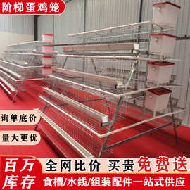 阶梯蛋鸡笼三层四层四门五门阶梯养殖笼养鸡场专用鸡笼子养殖设备