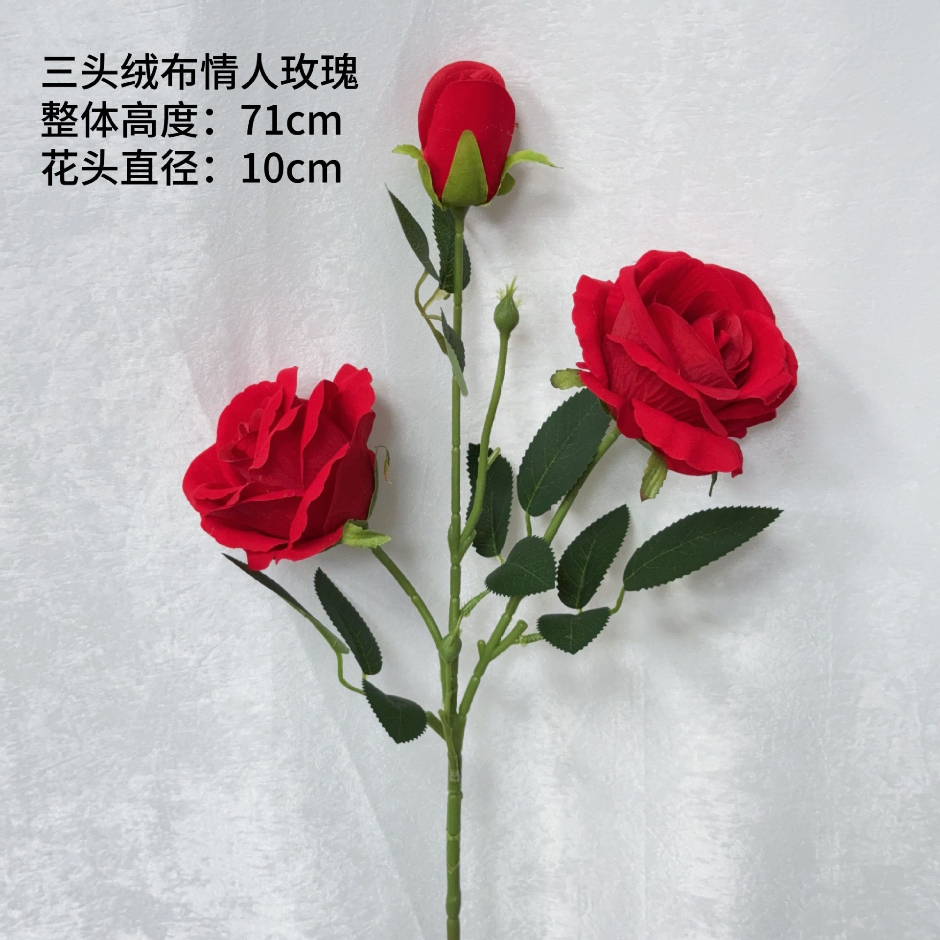 세 갈래 벨벳 장미, 정석 레드