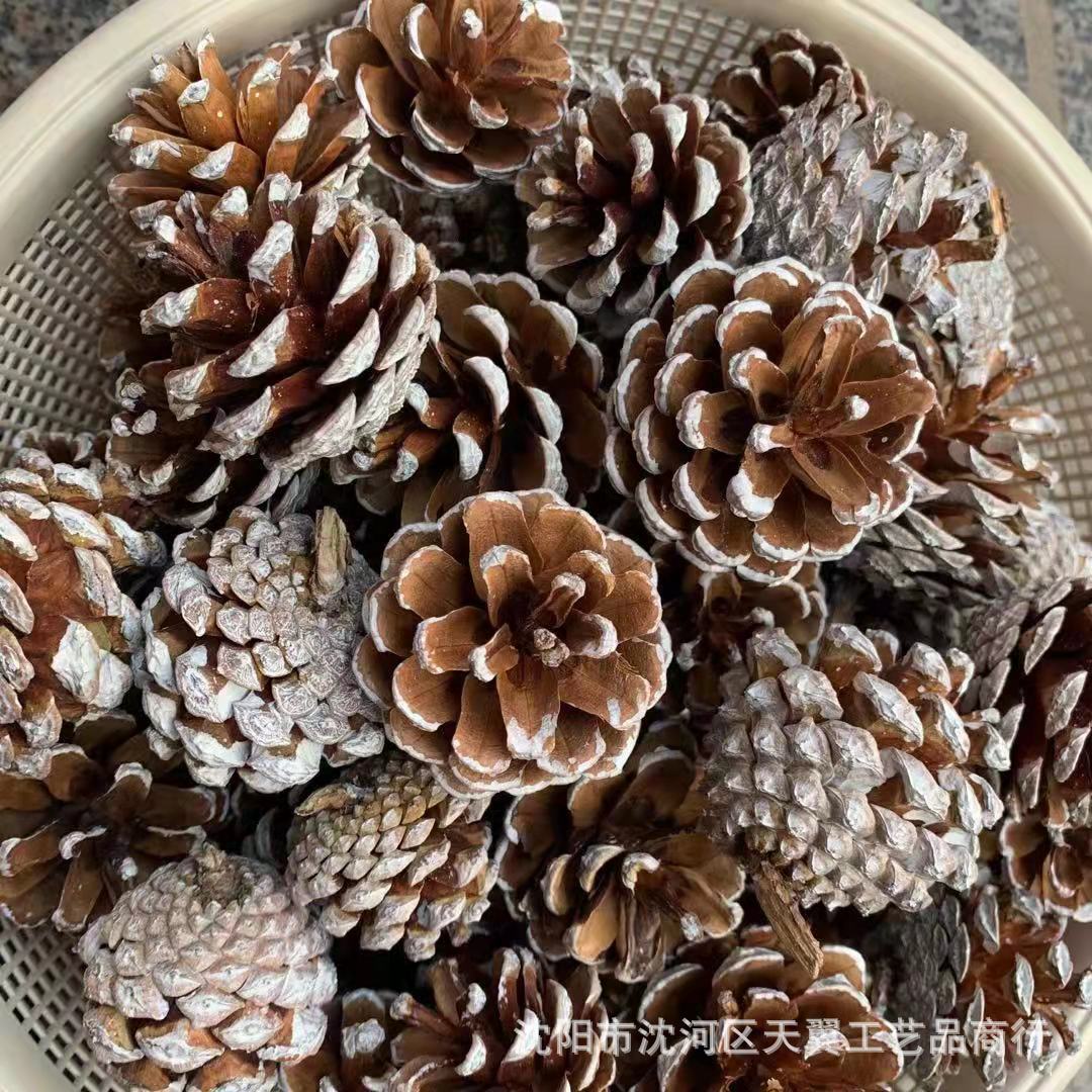 f708299b2f387bb6c3de39f4e7588c