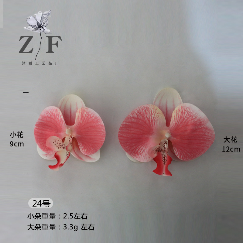 24호(대)