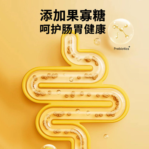 Beef Flavor Fruits & Vegetables Dog Food 2.5KG for Teacup Pomeranian, Maltese, Golden Retriever Puppy & Adult Dog (Suitable for 40 lbs)