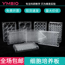 一次性细胞培养板6 12 24 48 96孔板稀释细菌独立包装实验室器材