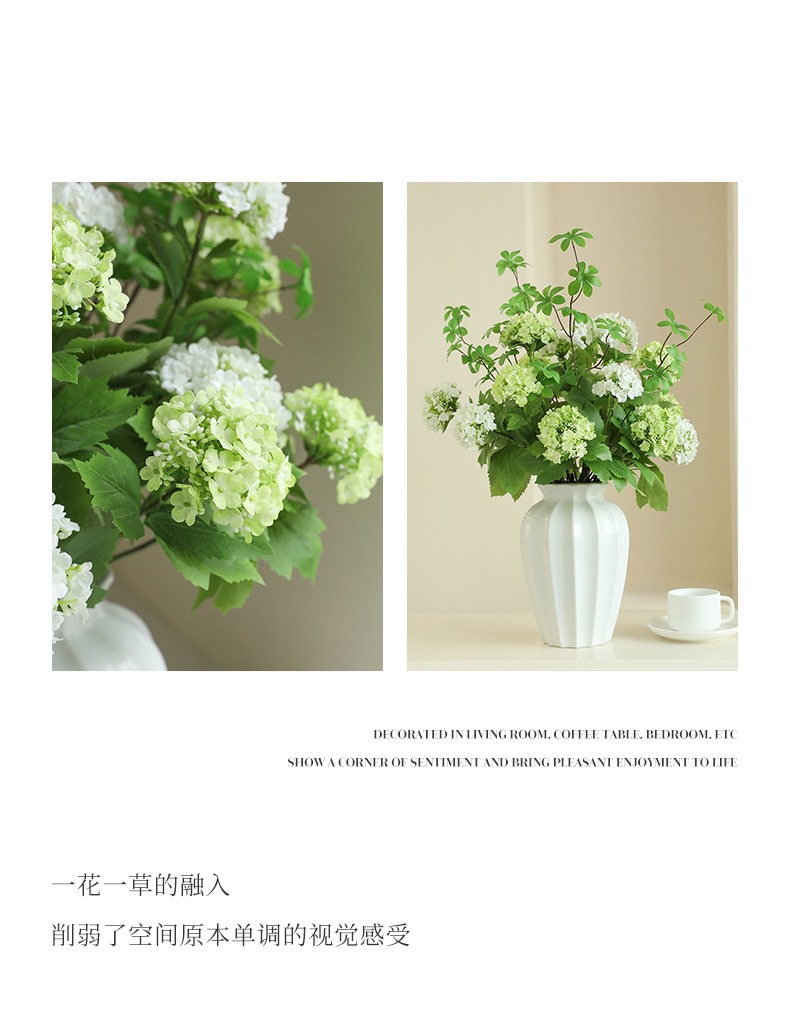 IMG_2822(20230310-105235)