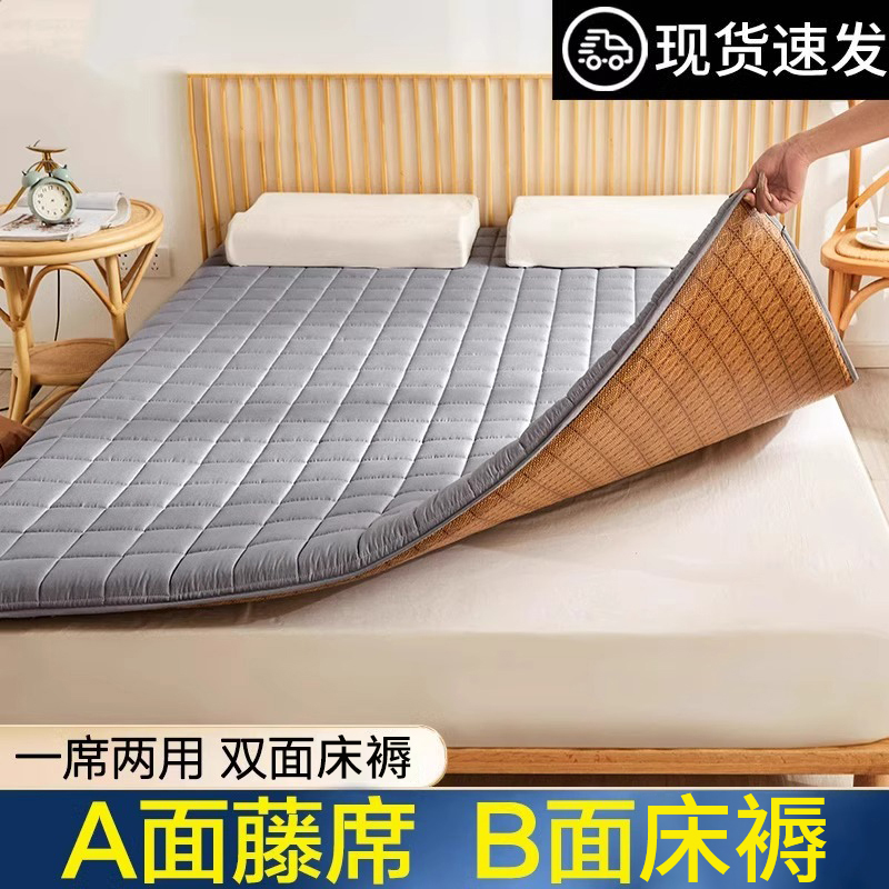 Tatami Summer Ice Silk Mat Mattress Cover Soft Cushion Student Dormitory Single Winter and Summer Dual-Use Thin Home Use