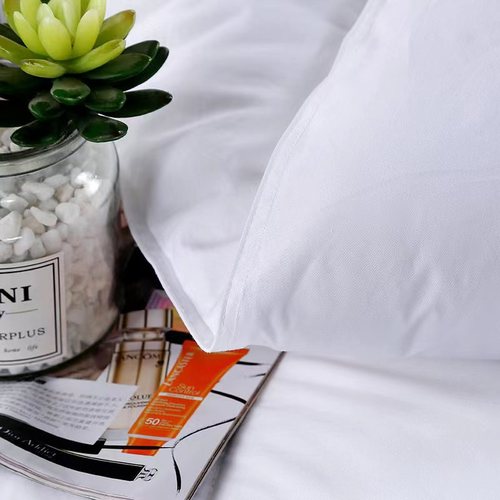 Five-star hotel core hotel homestay spring and autumn can be used all seasons core air conditioner summer cool core plus thick autumn and winter core