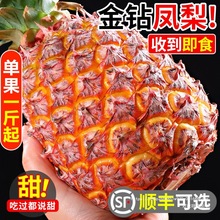 海南金钻凤梨新鲜水果树上熟芒果凤梨香水菠萝大果无眼整箱包邮