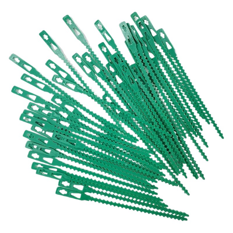 50 cinta multifuncional espinas de hueso de pescado Correa verde jardín línea fija jardinería pescado hueso corbata línea cinta fábrica