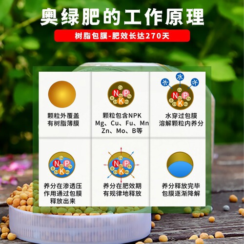A2 General Purpose Succulent Plant Slow-Release Fertilizer for Home Use, Rose Fertilizer, Flower Power Buds Booster Water Soluble Fertilizer