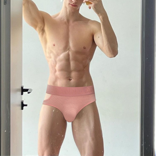 A new design side cut hollow triangle sexy sport cotton breathable crotch pouch underwear AD766