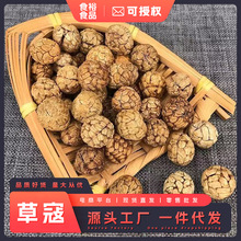 �ݿܴ��ϏV�����ϲݶ�ޢС�ݿ۟����u���Ҝ��һ�������{ζ�ϸ�؛