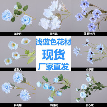 �{ɫ���滨��c�b�·����Y�ٻ����컨��ĵ���zӰ����õ�廨�\�{