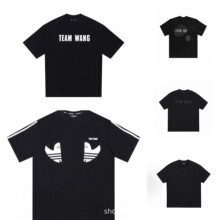 TEAM WANG�������ζ�ͬ��������ĸ�轺T����ʽ�ذ�����Բ��������