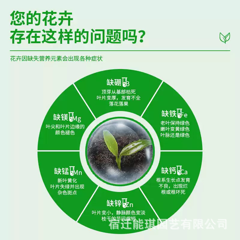 德国植物小分子有机营养液家庭园艺促进生长温和养护不伤庙|undefined