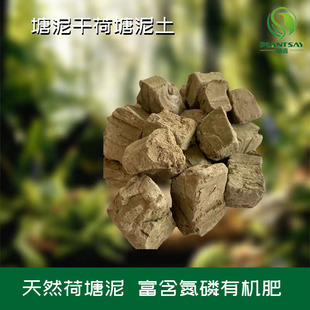 �ɻ�����ɺ������� �����B���N��������| ˯ɏ�辰�Nֲ�I�B��