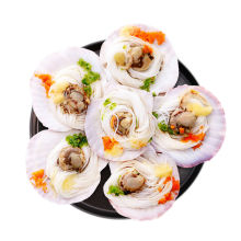 【顺丰包邮】蒜蓉粉丝扇贝鲜活粉丝贝夏夷贝生鲜冷冻烧烤清蒸即食