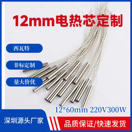 电热芯电热丝单头模具加热管电阻式加热棒深圳模具电热芯定制