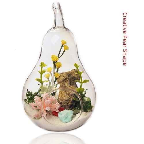 Factory Direct Sale Pear Apple Creative Transparent Glass Vase Home Decor Craft Ornament Micro Landscape