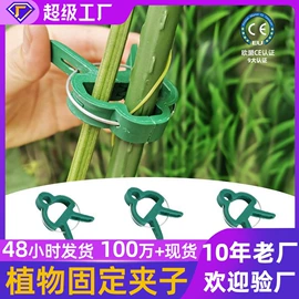 其他园林资材;防虫防蛀;园艺工具