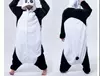 Kungfu Panda