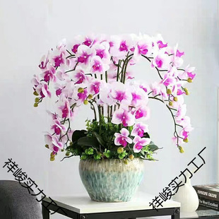 �����m���玧���������������m������͏d�҃�ֲ�ﻨ���ļ����B��