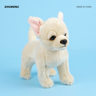 �羳���l������·С���������նYƷ������Ｊ����ë�q�����ż