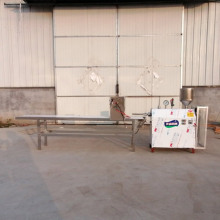 天诚牌新型自熟年糕机价格 商用不锈钢手指年糕设备结实耐用