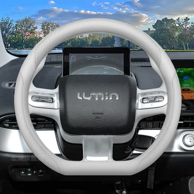 Steering Wheel Cover, 2025 Lumin: Steering wheel cover - lumin-exclusive-gray-white-default