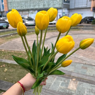 �¿��Sɫ���������Q�S�� 5�^ܛ�z�ָ��������ɫ��Y�Ҿ��bٻ�