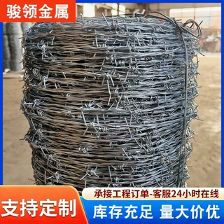 厂家不锈钢刺绳不锈钢刺丝滚笼防锈防护网刀片刺绳防攀爬铁丝网