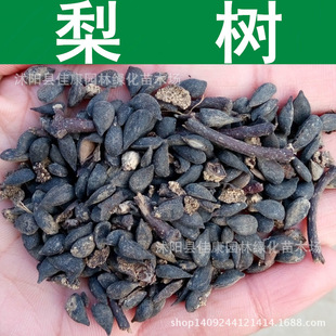 ��ľ�N�� ���N�� ���� ��ͨ����� 1��=1��