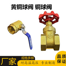 �S���S�~�����ǼӺ�25���y1��2�Ƚz�~���yDN15�_�P4��6��20�~�l�y