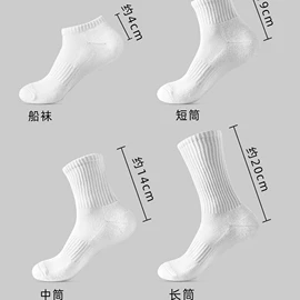 运动休闲棉袜;船袜、隐形袜