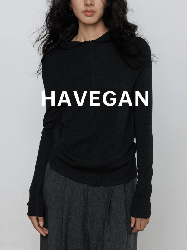 与间HAVEGAN/秋季连帽羊毛长袖针织衫女打底纯色慵懒弹力休闲上衣|undefined