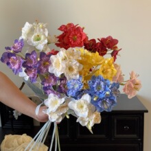 ����ֲ�qˮ�ɻ��Ҿ��bٻ��Ƶ겼����л�ˇ�廨���Q���l����