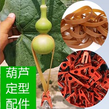 ���J����Ƥ����J�A�Ӊ����JƤ��С���JС�ˌ�Λρ�Ƕ��ͺ��J����